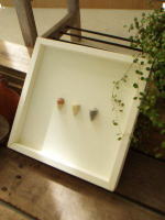 ネイチャーアートフレーム